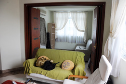 The Sierra (D10), Apartment #172283802